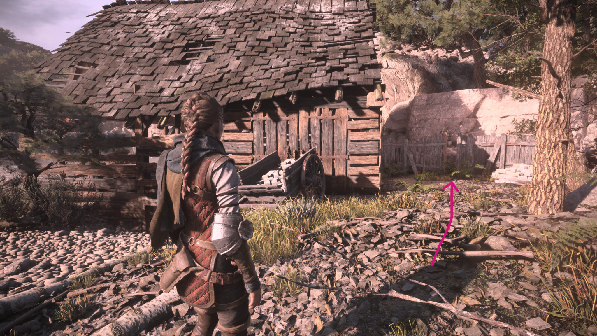 A Plague Tale Requiem Chapter 5 Collectible Walkthrough