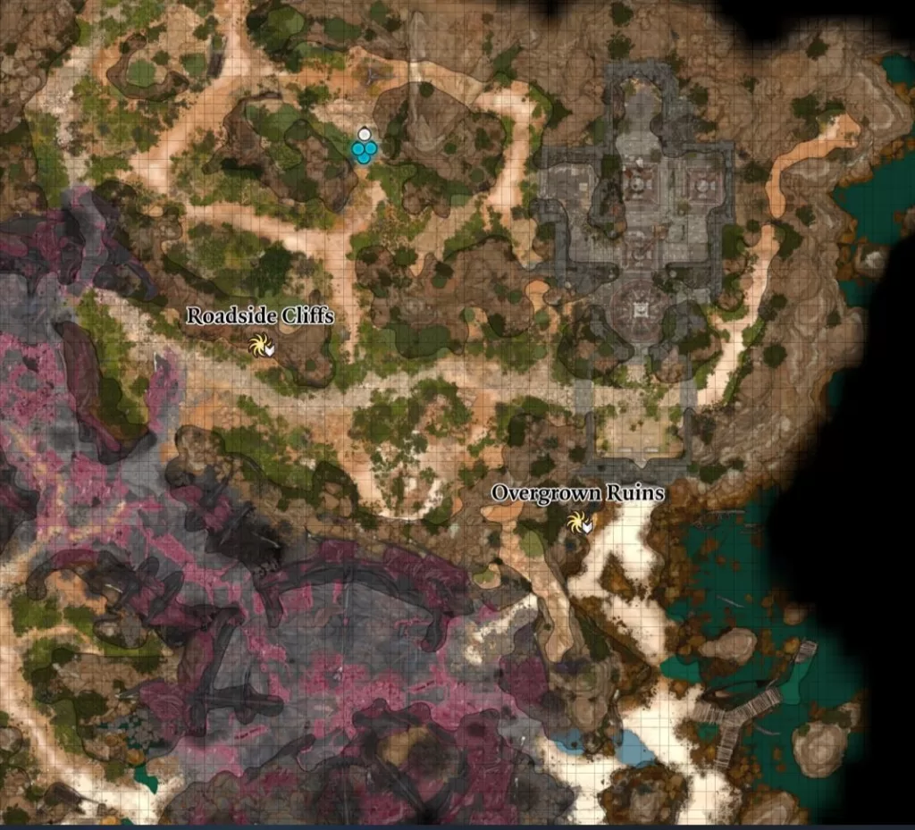 Map on where to find Lae'zel