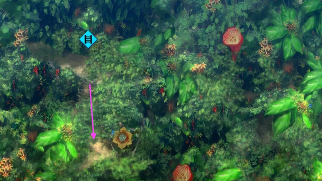 Holoholo Jungle Items on right side of area