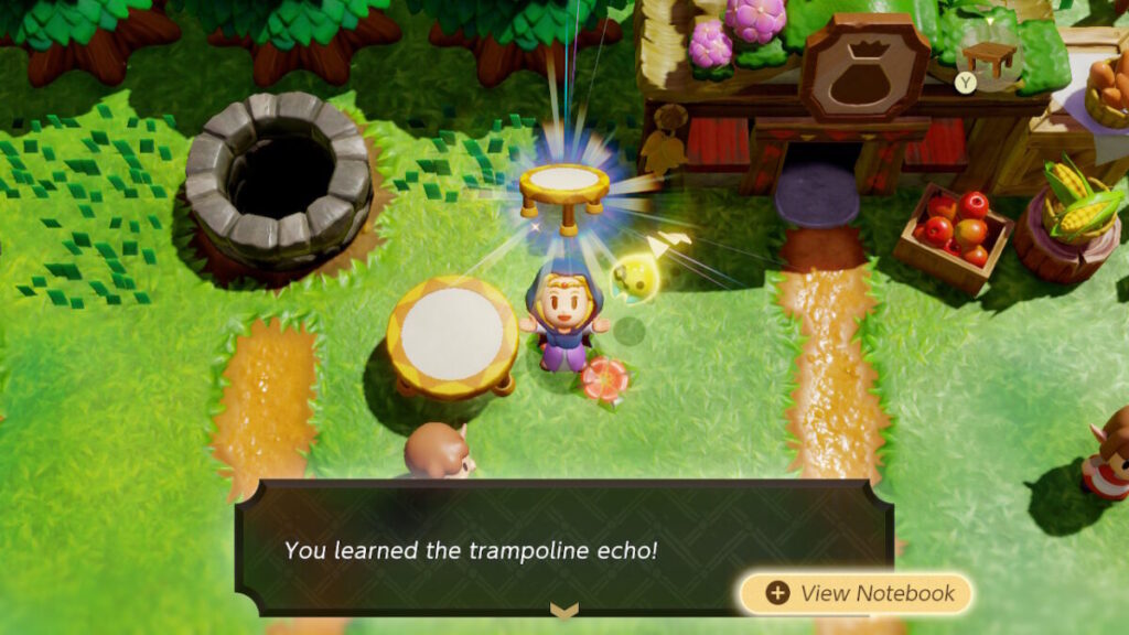 The Legend of Zelda Echoes of Wisdom Trampoline Echo