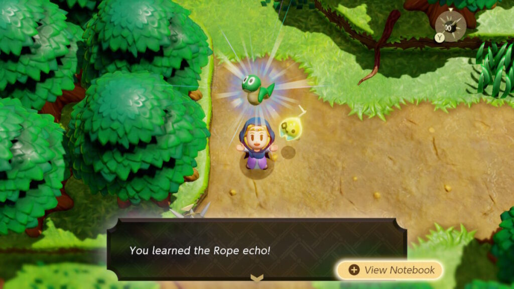 The Legend of Zelda Rope Echo Location