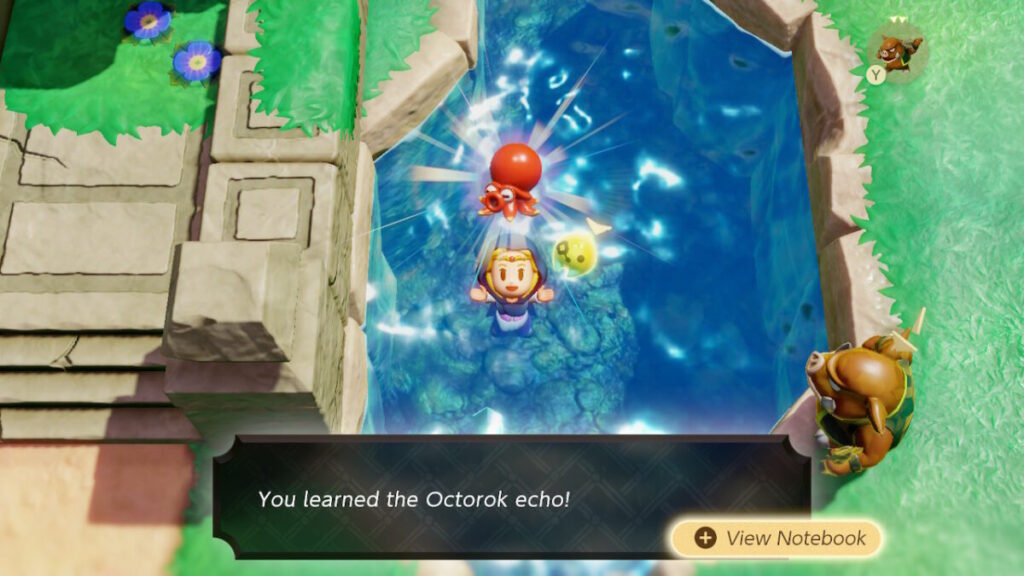 Octorok Echo Location