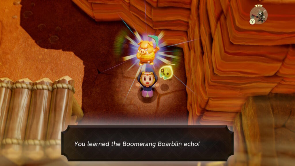 Boomerang Boarblin Echo