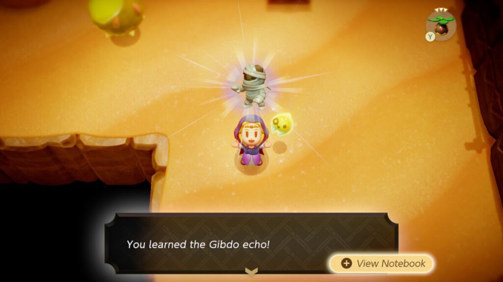 The Legend of Zelda Echoes of Wisdom Gibdo Echo Location