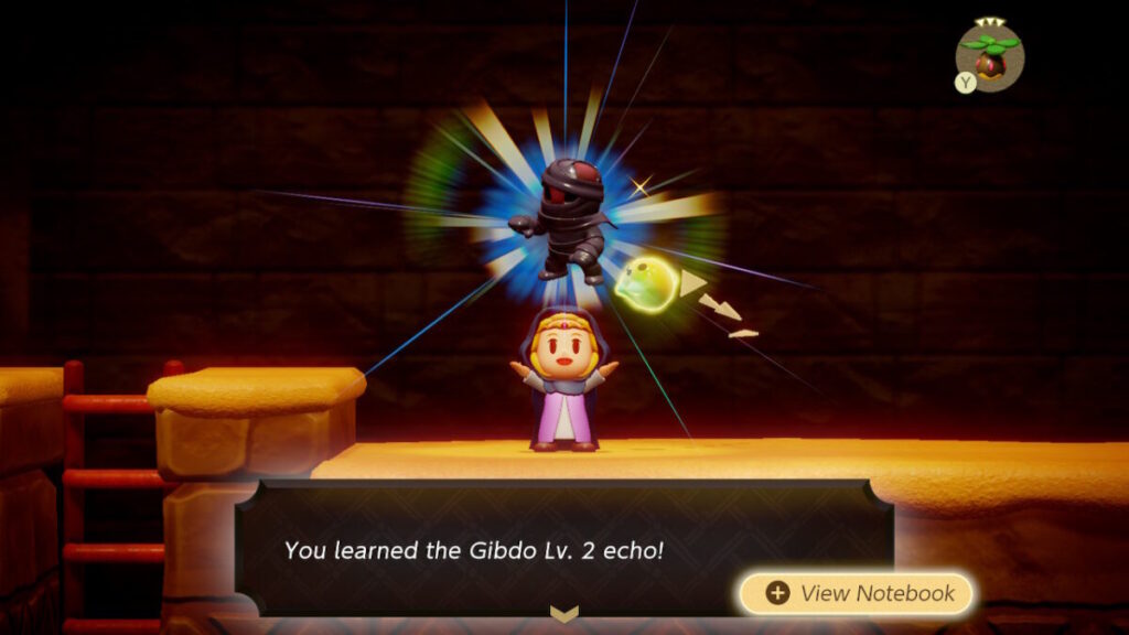 The Legend of Zelda Echoes of Wisdom Gibdo Lv. 2 Echo Location