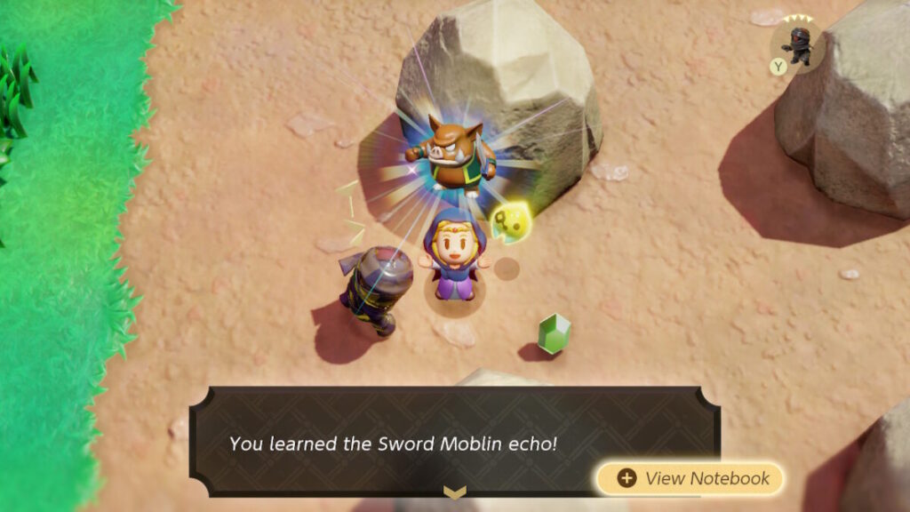 Sword Moblin Echo