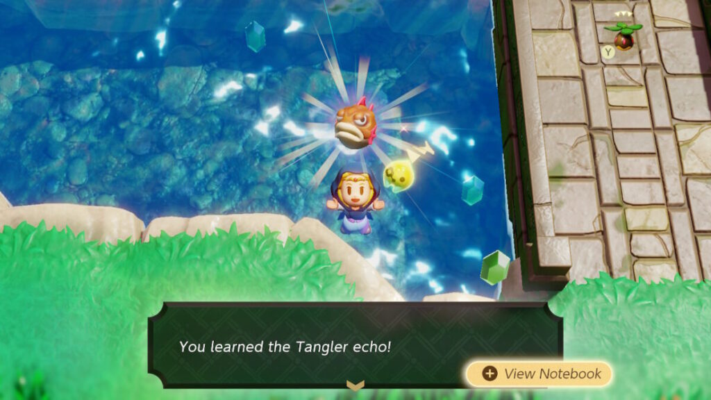 The Legend of Zelda Echoes of Wisdom Tangler Echo Location