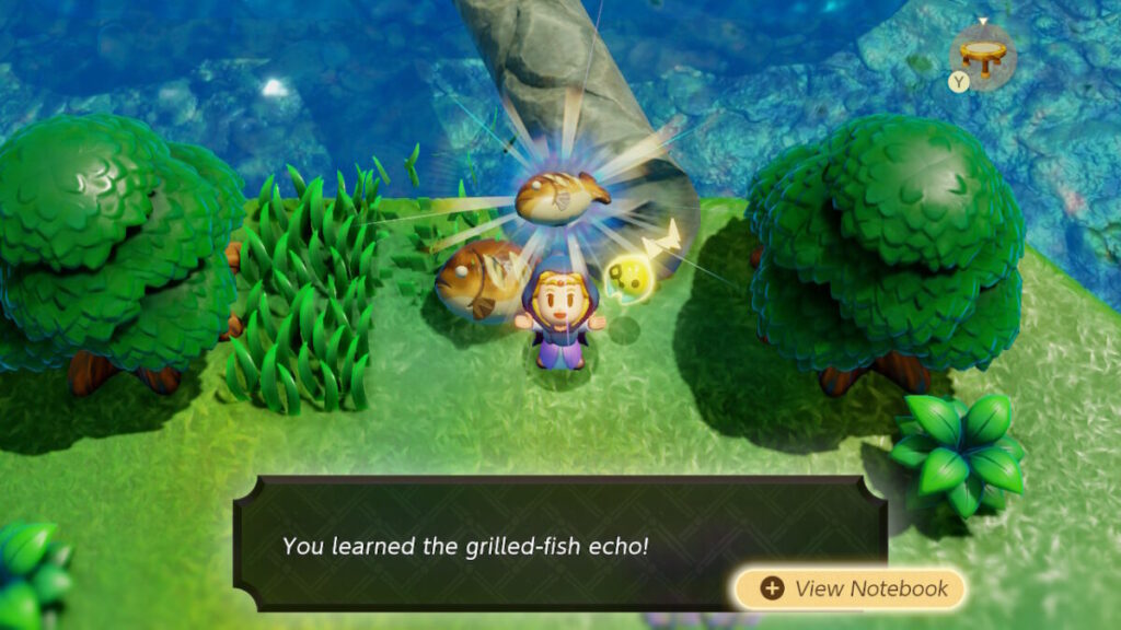 The Legend of Zelda Echoes of Wisdom Grilled Fish Echo