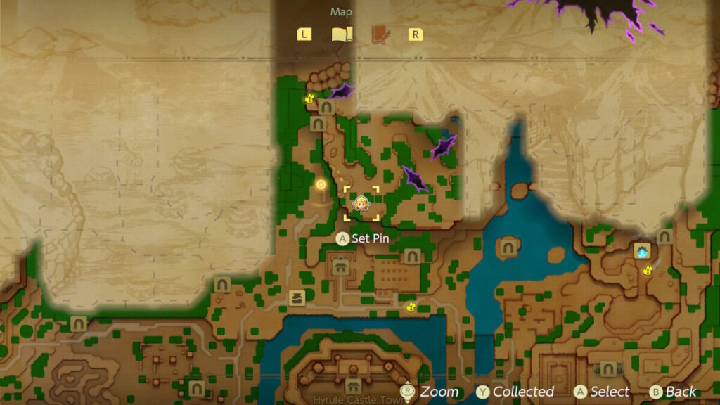 The legend of zelda echoes of wisdom Leever echo location