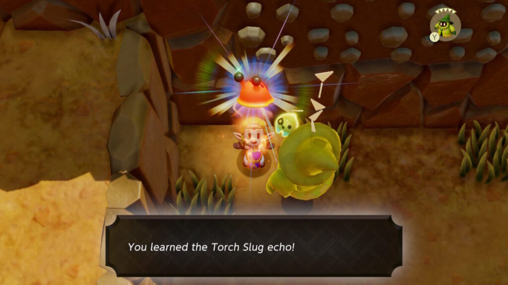 Torch Slug Echo