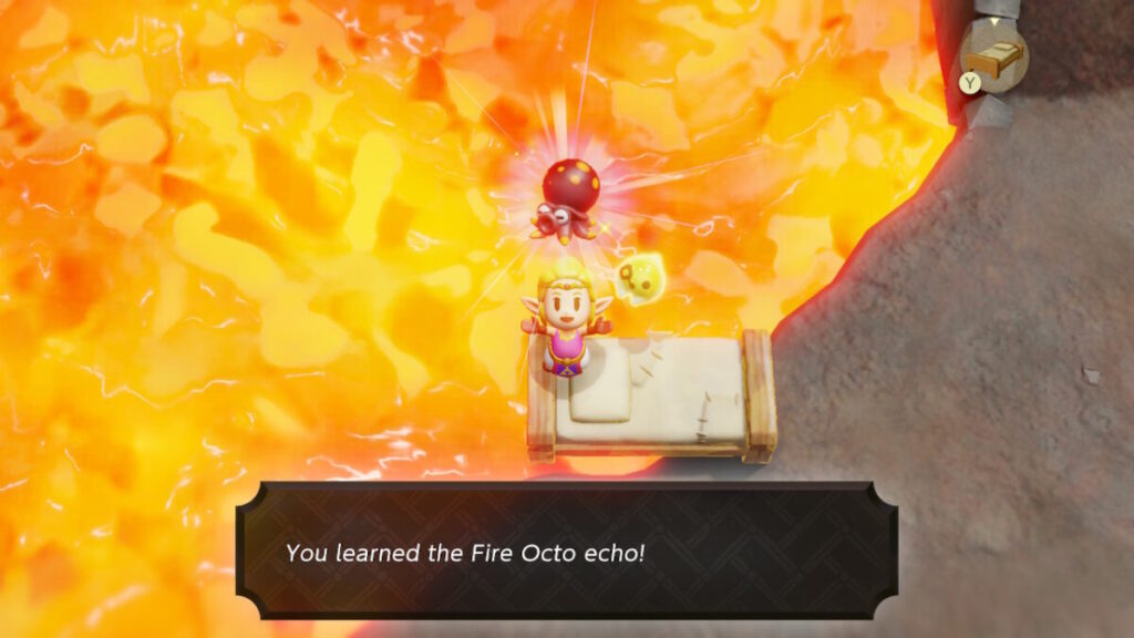 Fire Octo Echo