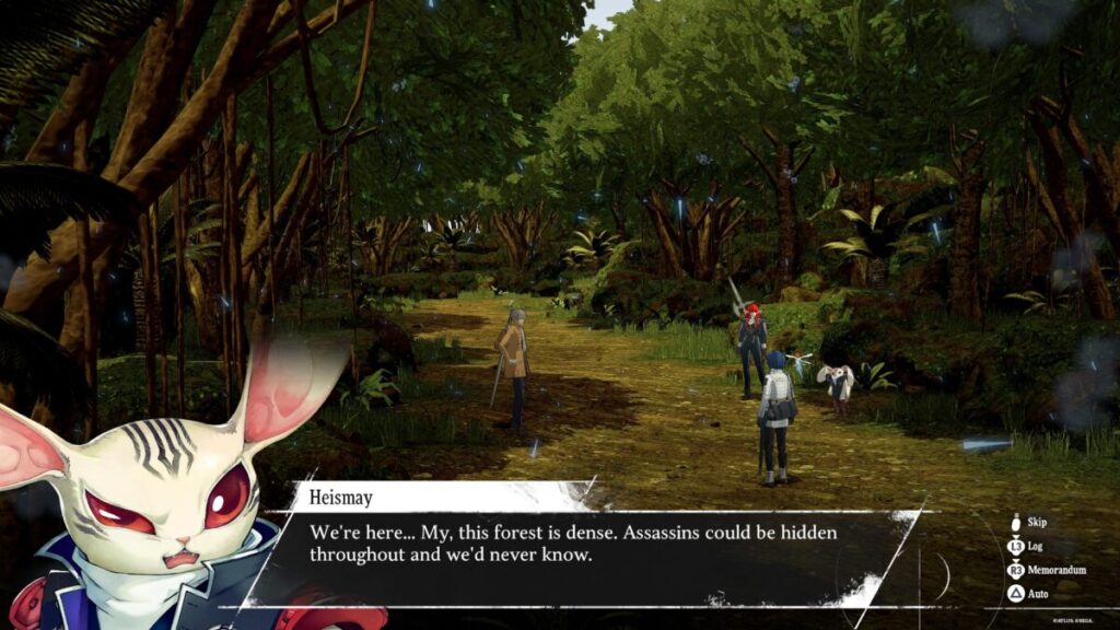 Talking about assassins in the Gracia Forest