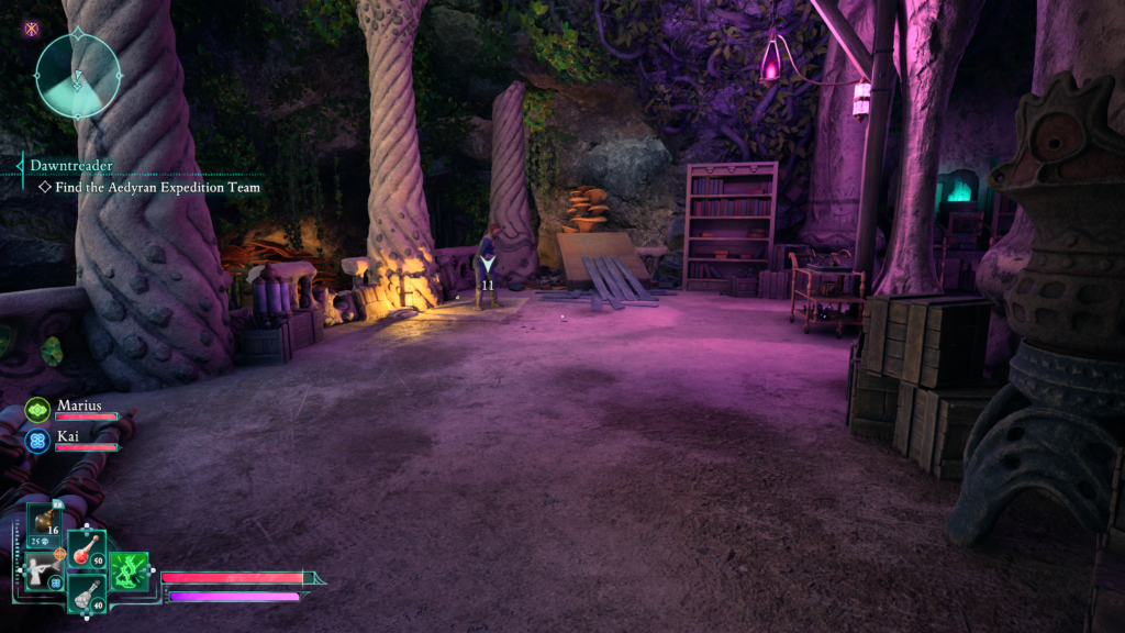 Avowed - speak with Caedmon