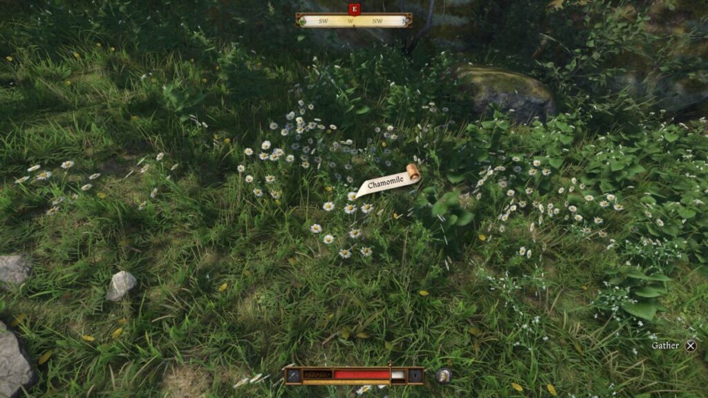 Chamomile Kingdom Come Deliverance II