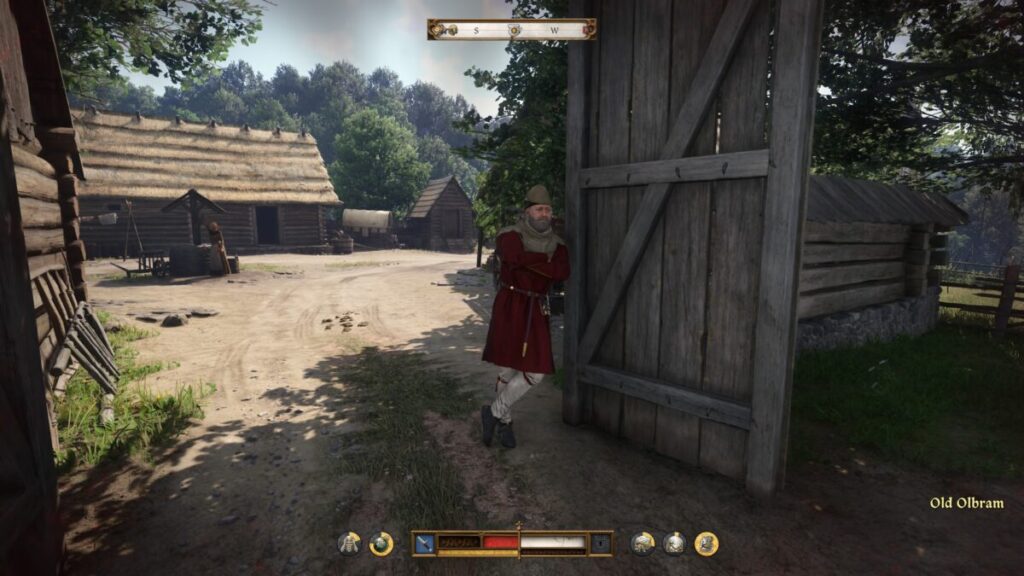 Frogs Kingdom Come Deliverance 2