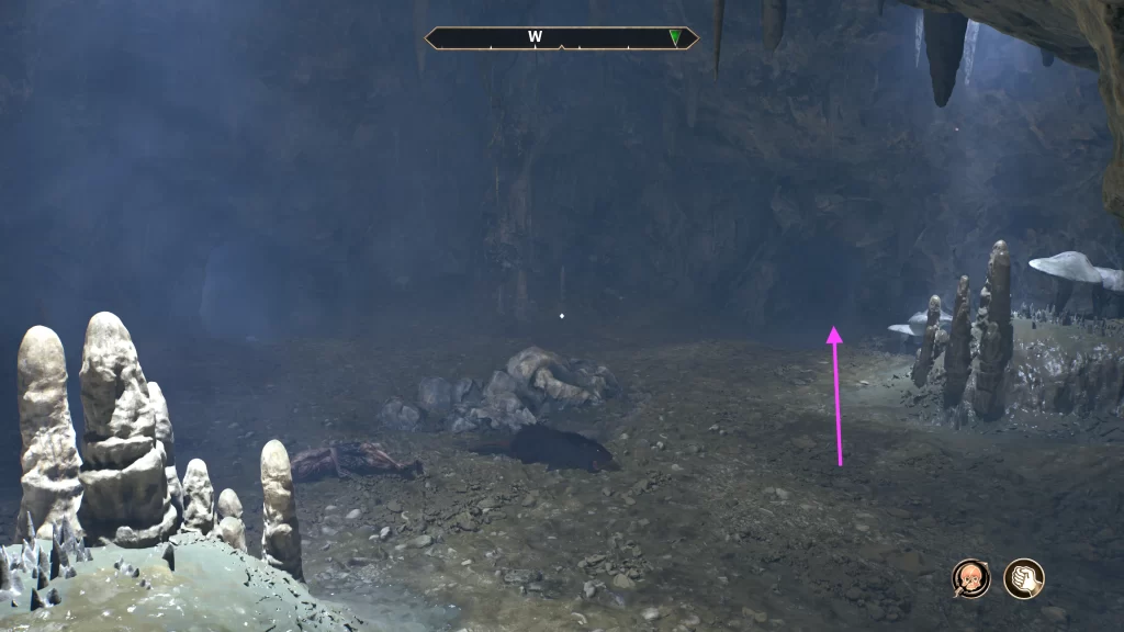 Path to take in Fallen Rock Cave Oblivon Remastered