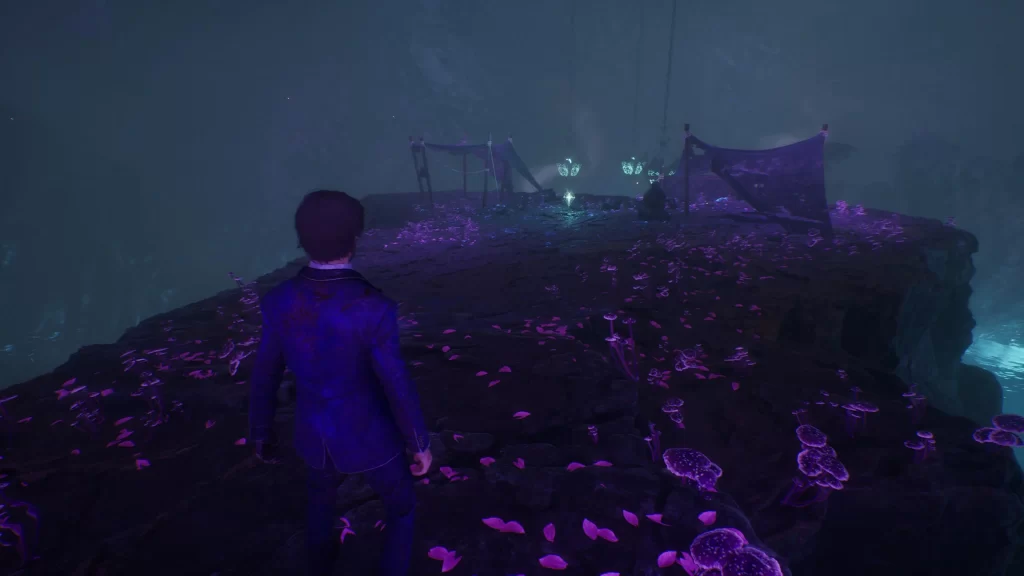 Esquie's Nest - Entrance Journal