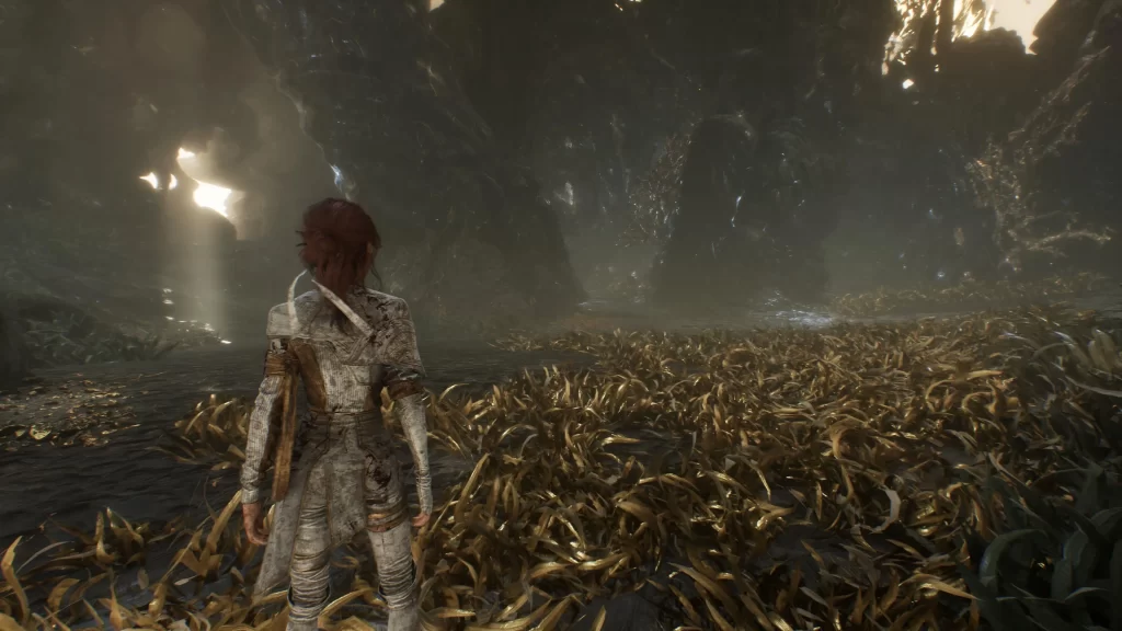 Chroma Catalyst Inside the Monolith