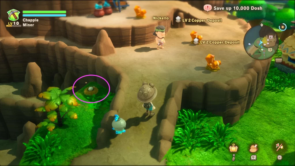 Fantasy Life i Chicken Eggs