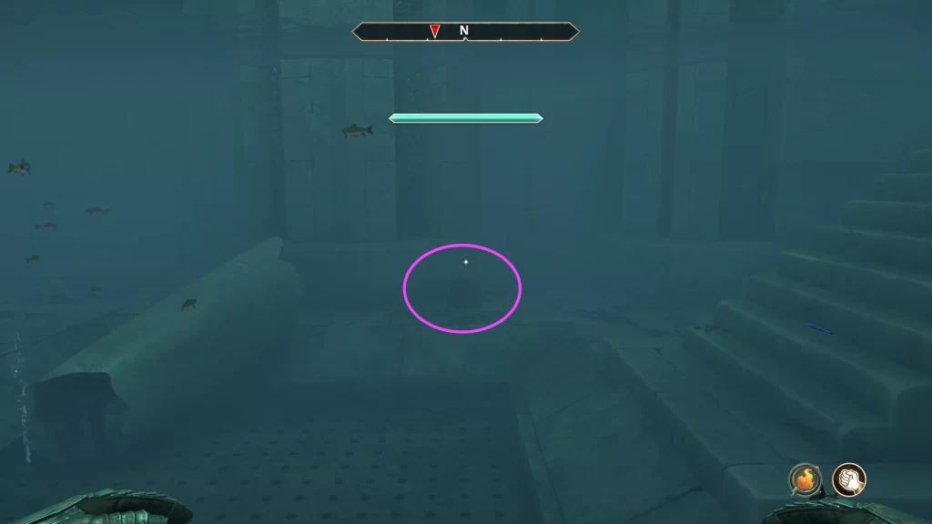 chest in water