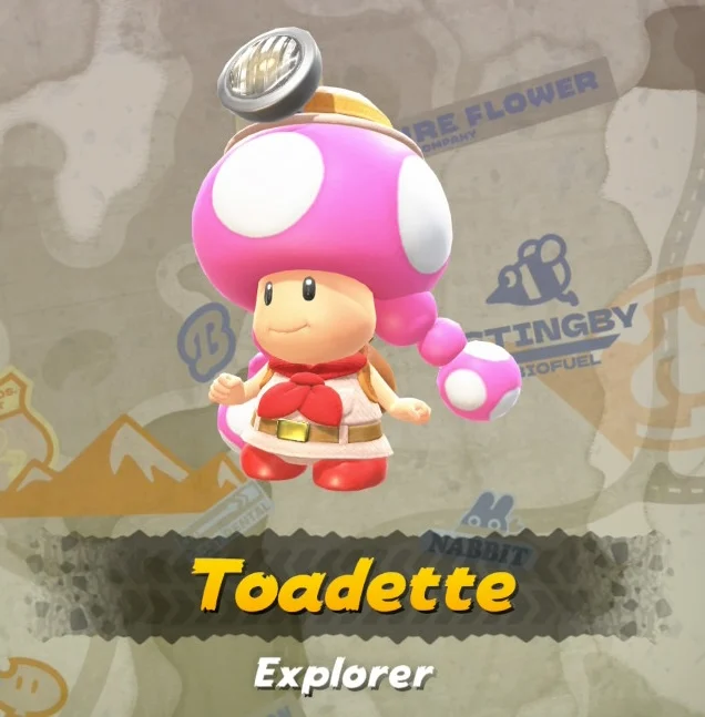 Mario Kart World Toadette Explorer Costume
