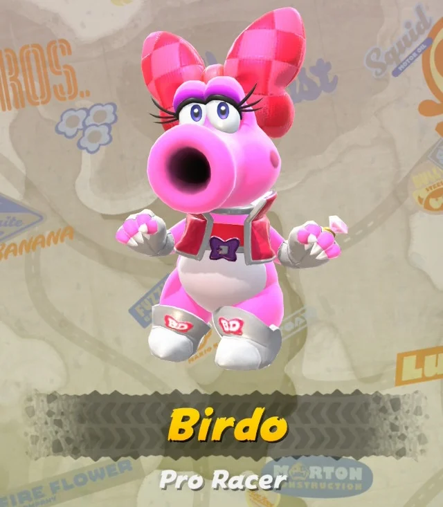 Mario Kart World Birdo Costumes