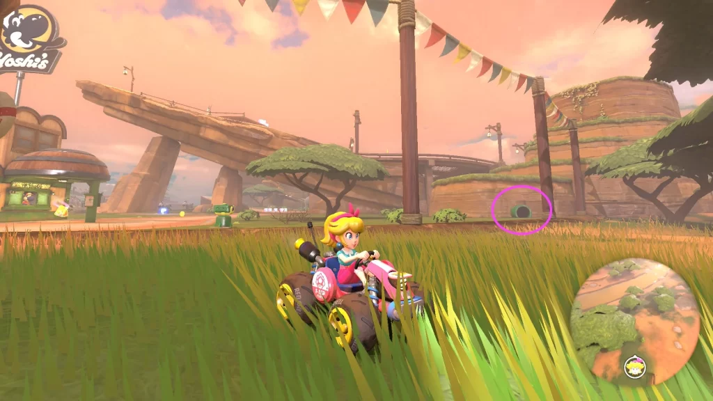 Mario Kart World Faraway Oasis ? Panel