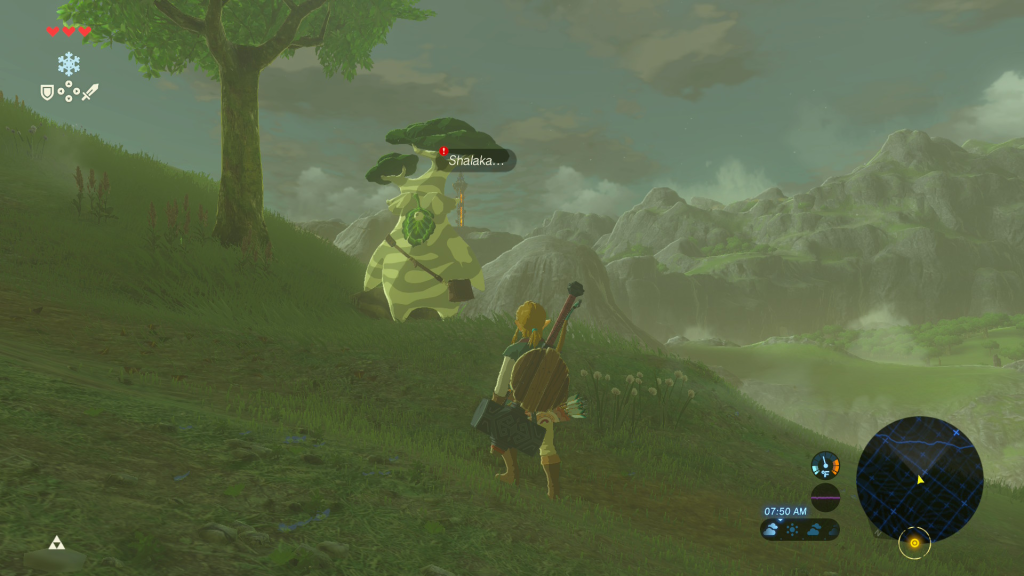 The Legend of Zelda breath of the wild The Priceless Maracas Side Quest