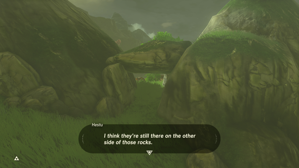 The Priceless Maracas Breath of the Wild