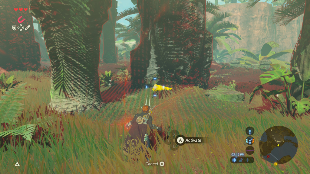treasure chest in the ground