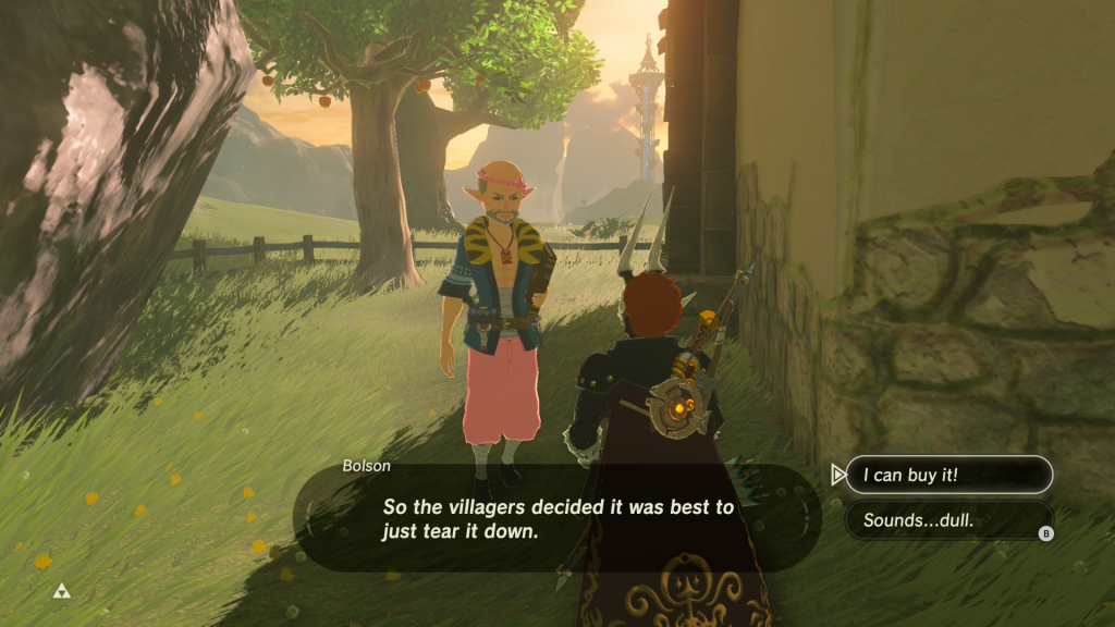 The Legend of Zelda Breath of the Wild Bolson