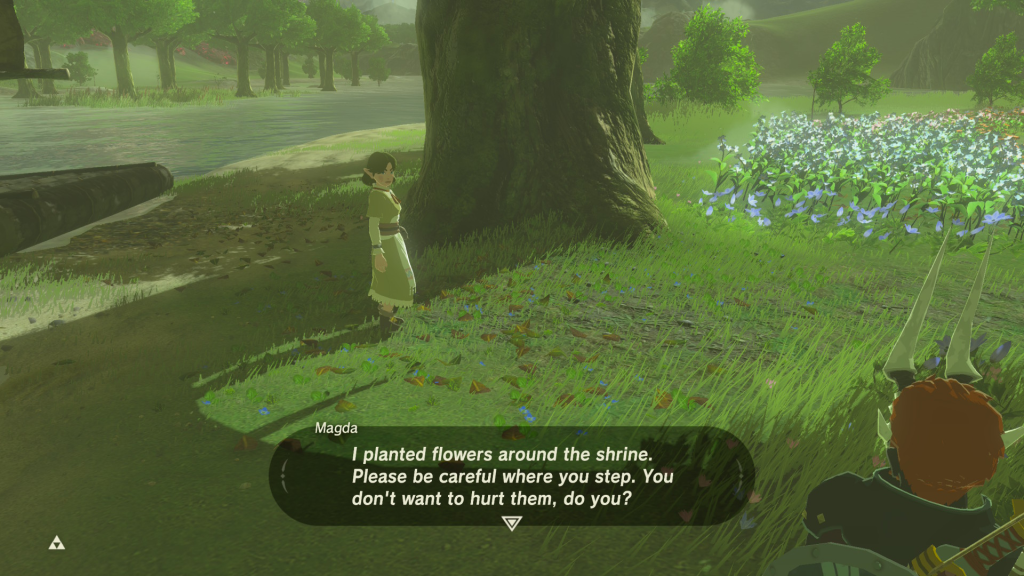 The Legend of Zelda Breath of the Wild Magda