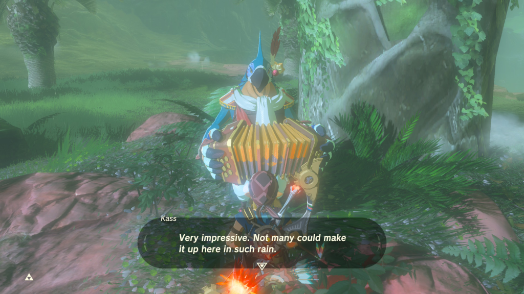 Kass playing his music