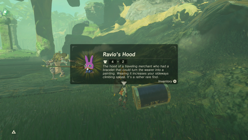 Ravio's Hood
