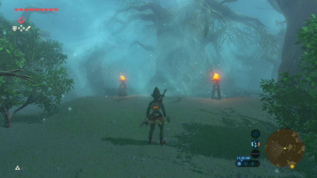 dual torches in the lost woods