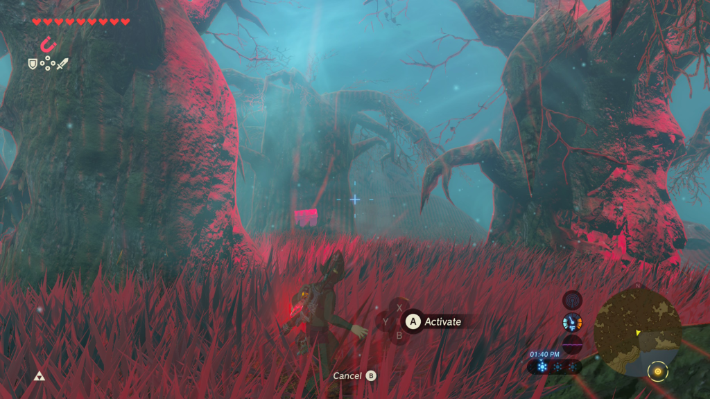 tree with the EX chest in it