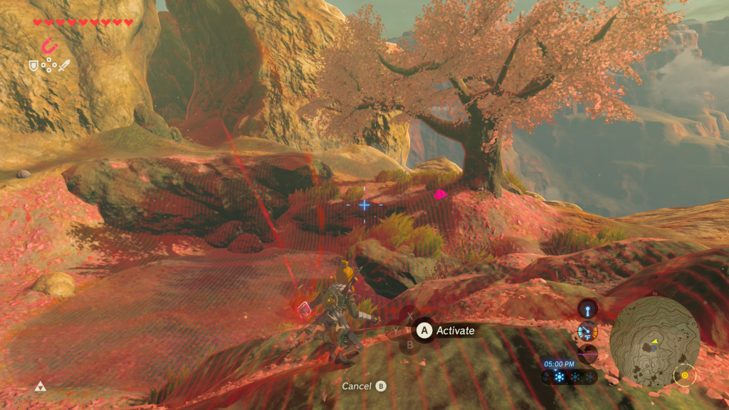 ex chest under the tree