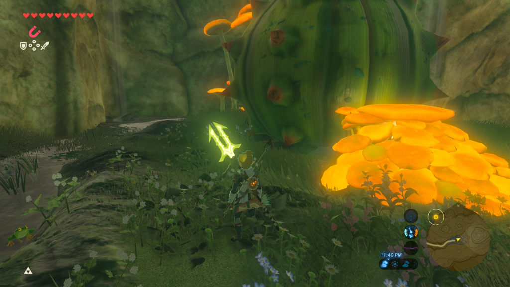 ex chest under the waterfall