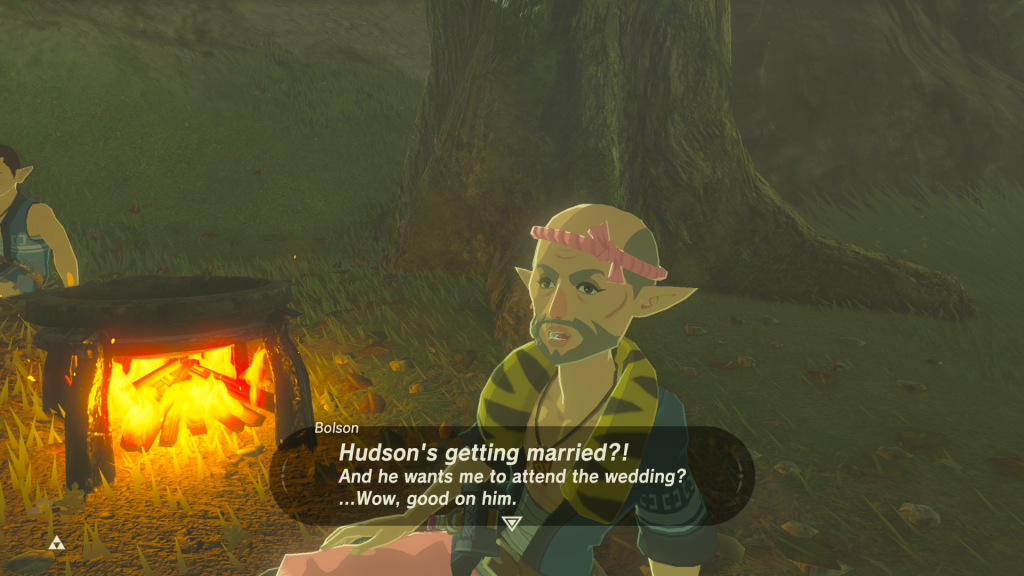 Bolson 