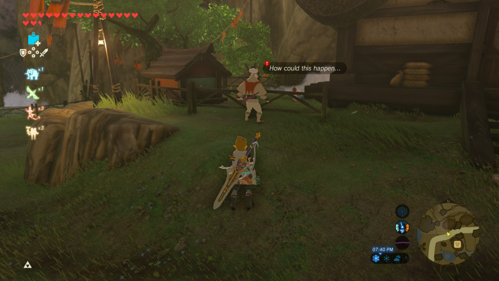 Breath of the Wild Flown the Coop