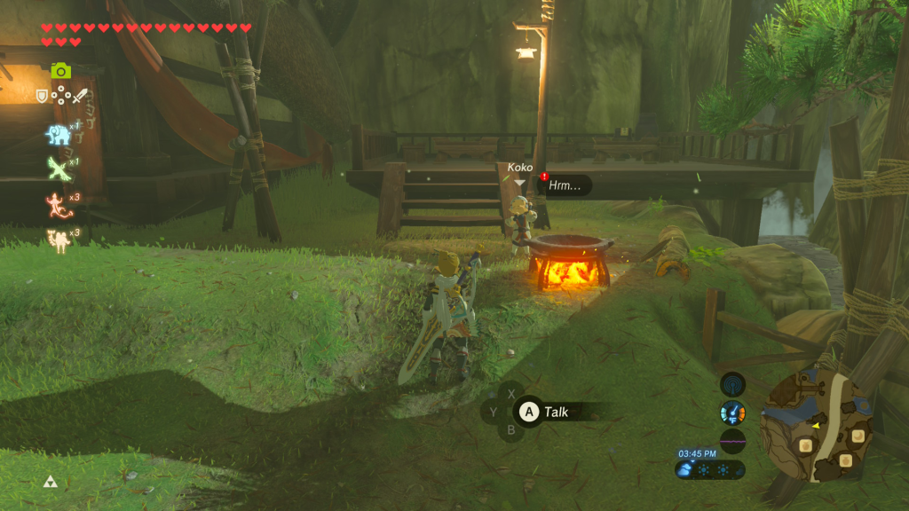 Koko's Kitchen Breath of the Wild