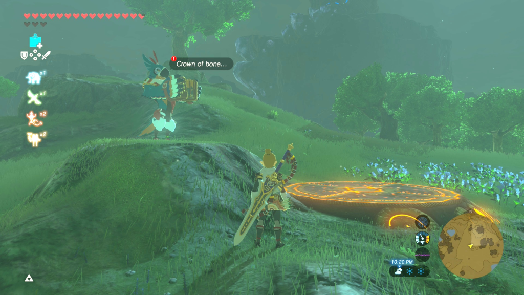 The Crowned Beast Breath of the Wild