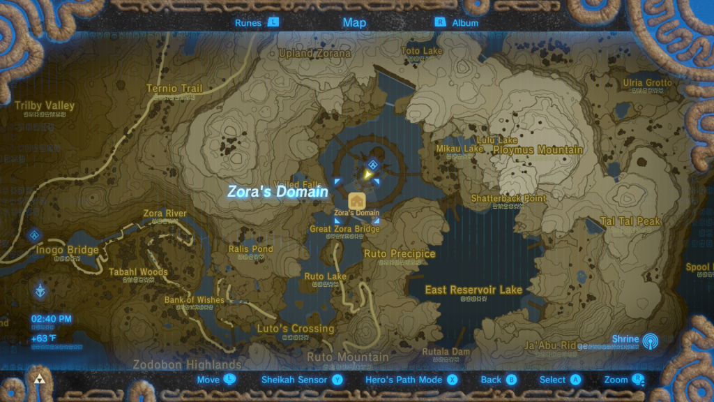Frog Catching Breath in the Wild