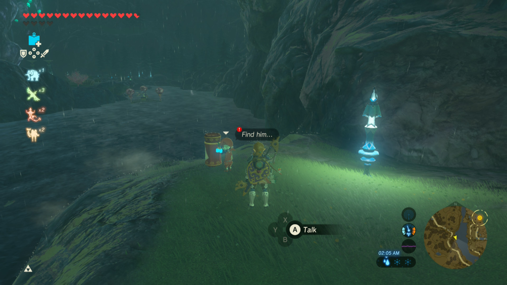 Breath of the Wild Special Delivery
