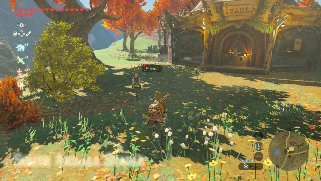 breath of the wild Little Sister's Big Request