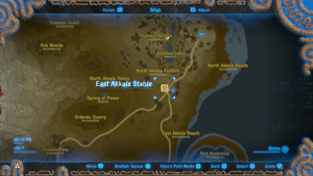 A Shady Customer Breath of the wild