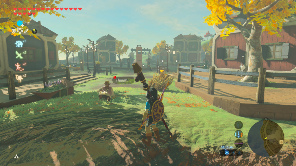 Hobbies of the Rich Breath of the Wild