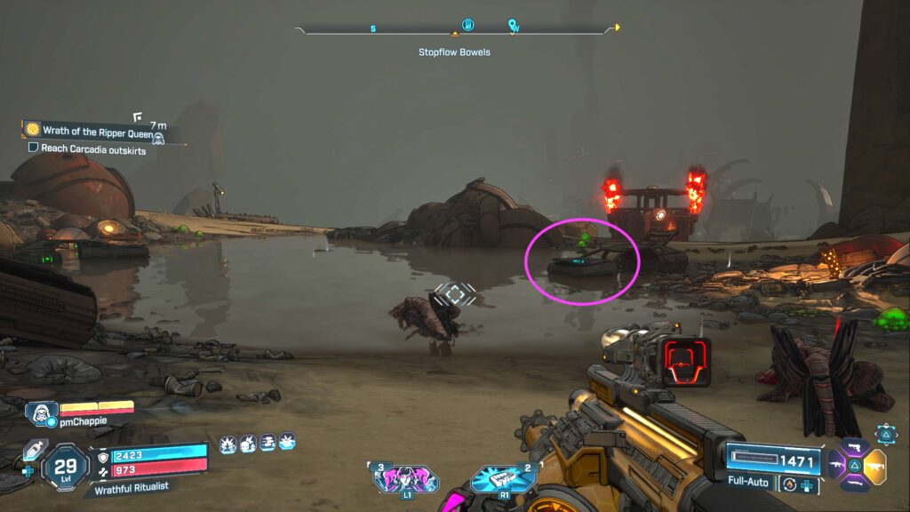 echo log
