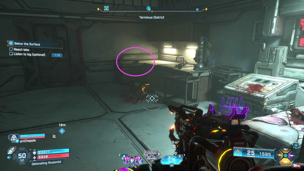 echo logs