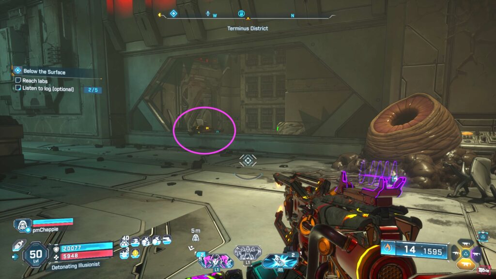 echo log
